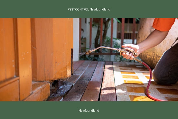 PEST CONTROL Newfoundland